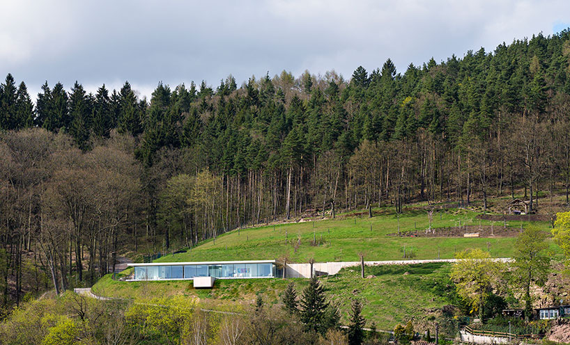 Дом на склоне в Германии (Интернет-журнал ETODAY)