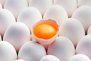 5 самых распространенных мифов о куриных яйцах