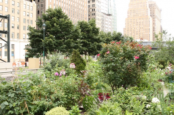 Коллективные сады-огороды в самом центре Нью-Йорка, на Манхеттане